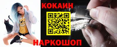 индика Новозыбков