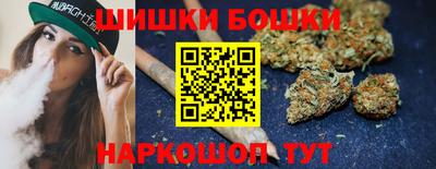СК Новодвинск