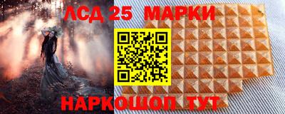 СК Новодвинск