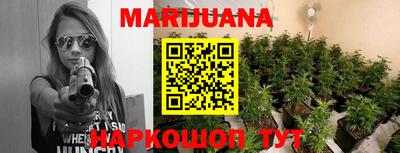 индика Новозыбков