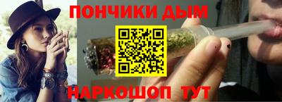 СК Новодвинск