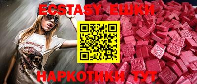 СК Новодвинск