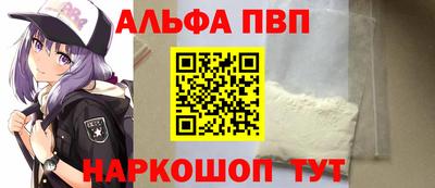 СК Новодвинск