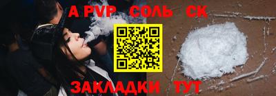 СК Новодвинск