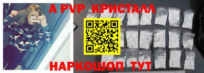СК Новодвинск