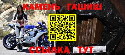 индика Новозыбков