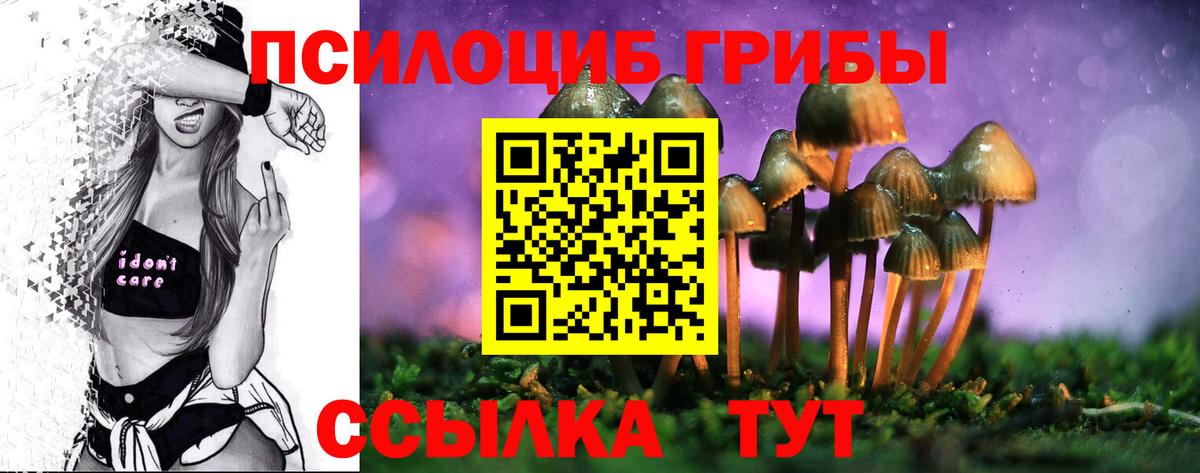 Псилоцибиновые грибы мухоморы  Вход с VPN  Тайшет 