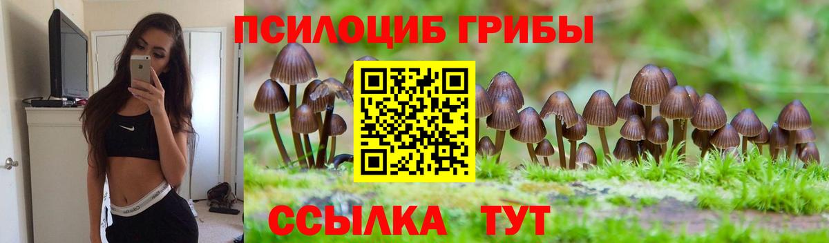 Cocaine Тайшет